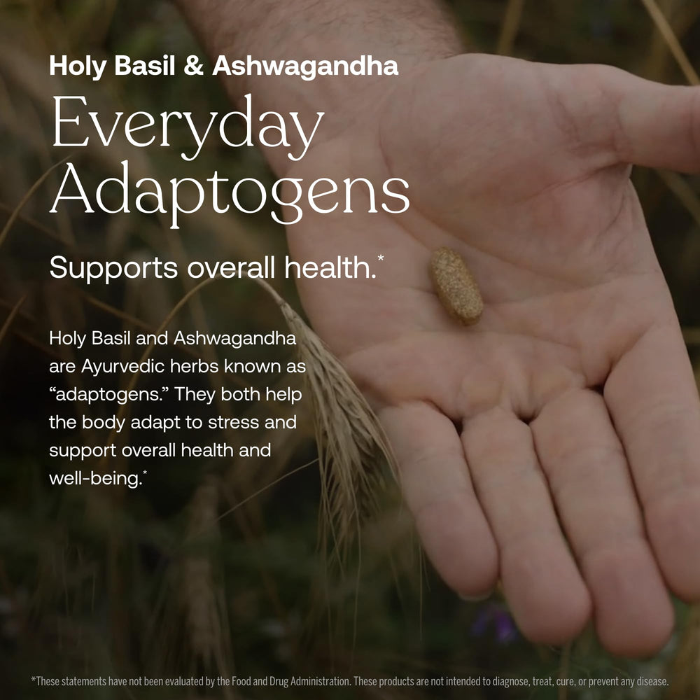 Close-up of fermented minerals used in the supplement