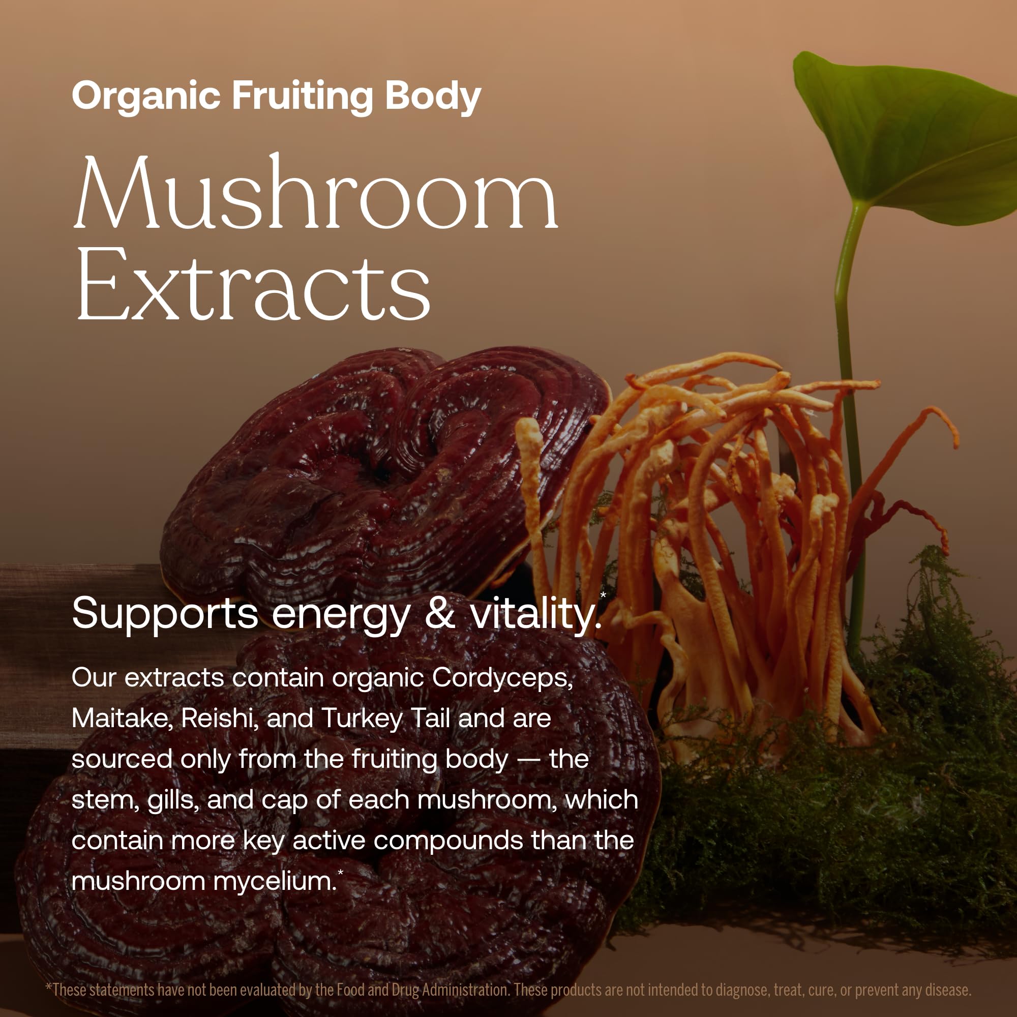Fermented chelated minerals included in the formula