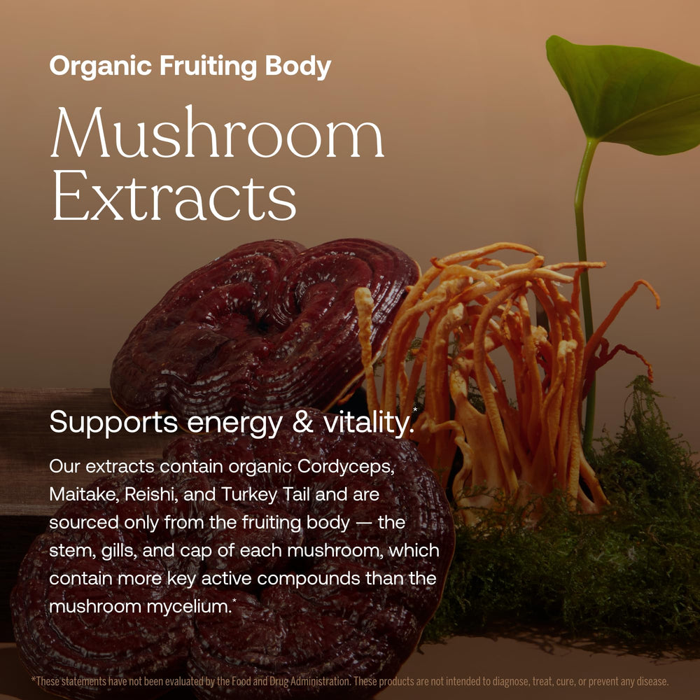 Fermented chelated minerals included in the formula