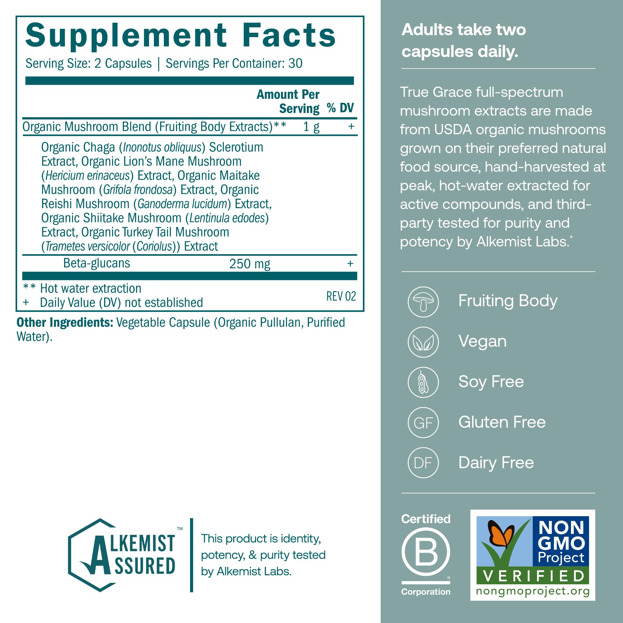 Close-up of organic mushrooms used in the formula