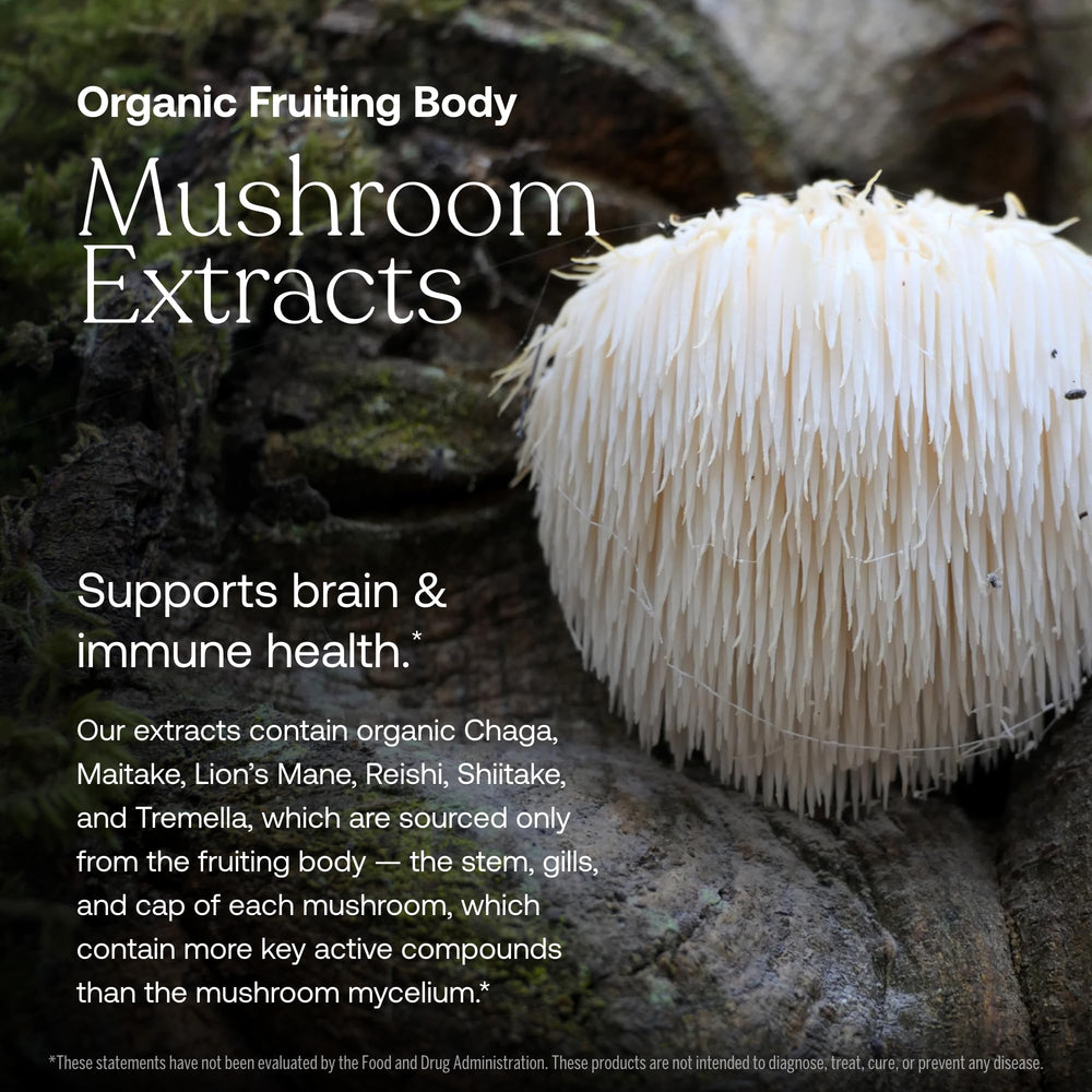 True Grace organic mushroom blend bottle emphasizes bioavailability and beta glucans