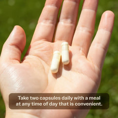 Ingredients spotlight on calcium absorption and vitamin D for growing bones