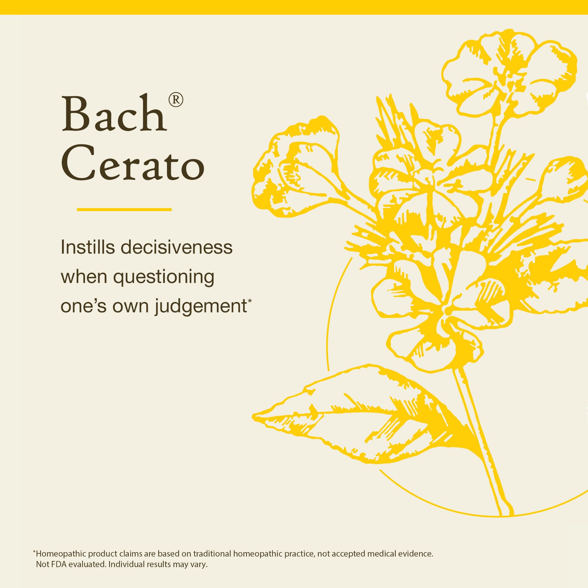 Trust intuition with Cerato Bach flower remedy
