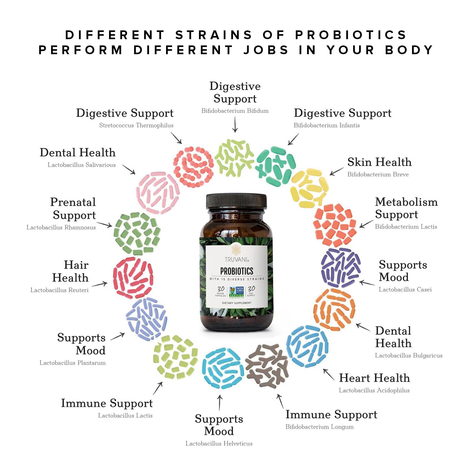 Brain and skin health connected by probiotics illustration