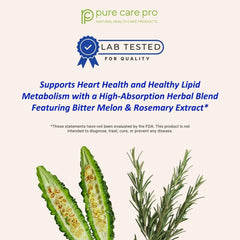 Illustration of rosemary extract and bitter melon ingredients