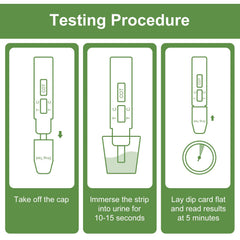 Illustration of the lateral flow assay used by the test