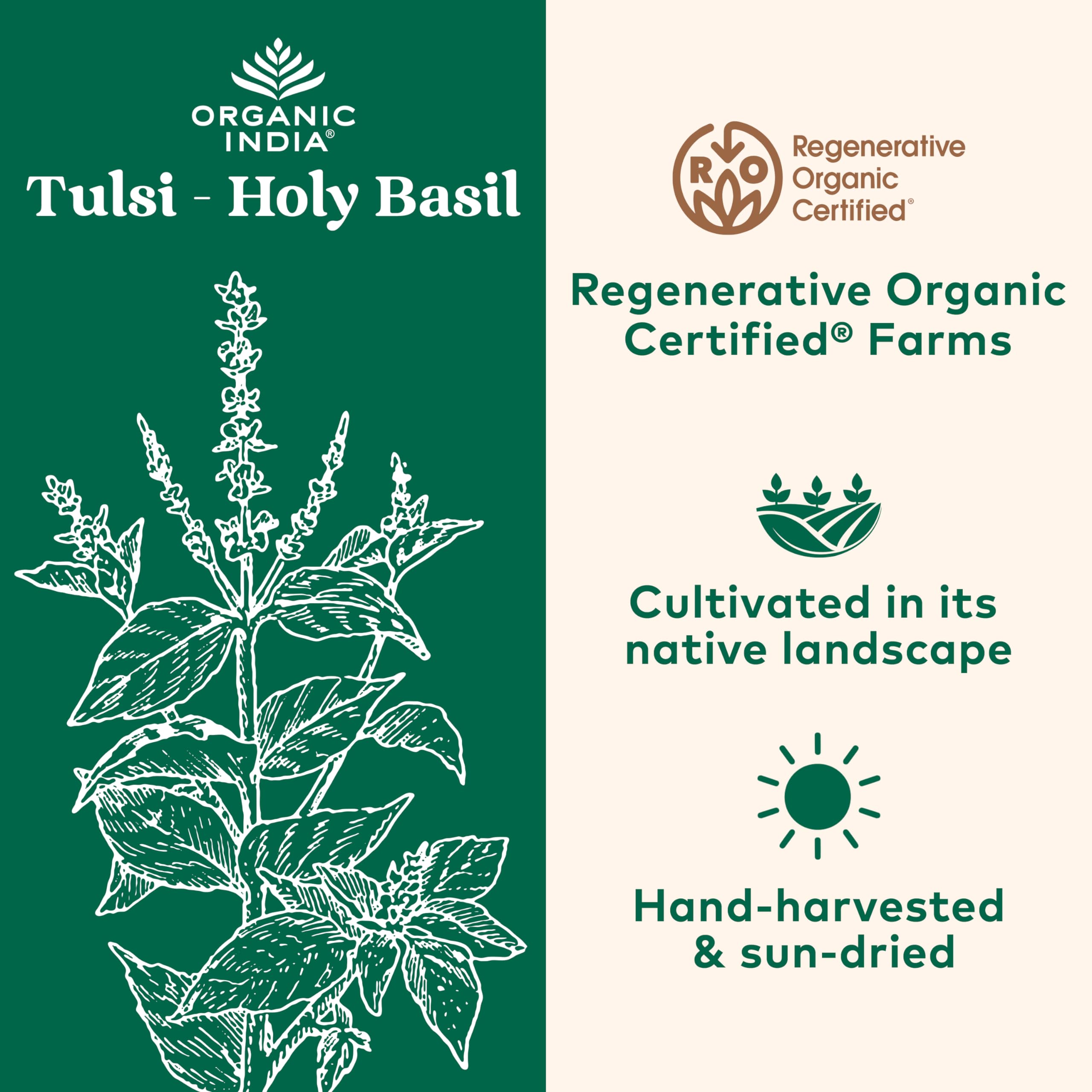 Tulsi immune support capsules for vegan lifestyle