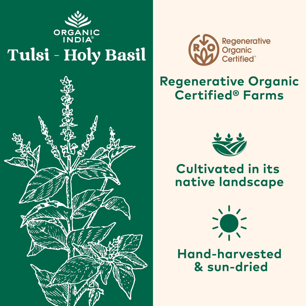 Tulsi immune support capsules for vegan lifestyle