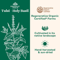 Tulsi immune support capsules for vegan lifestyle