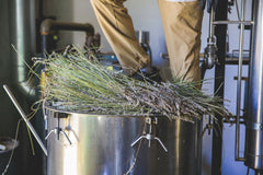 Pouring Tumalo Lavender Hydrosol for refreshing facial toners and mists
