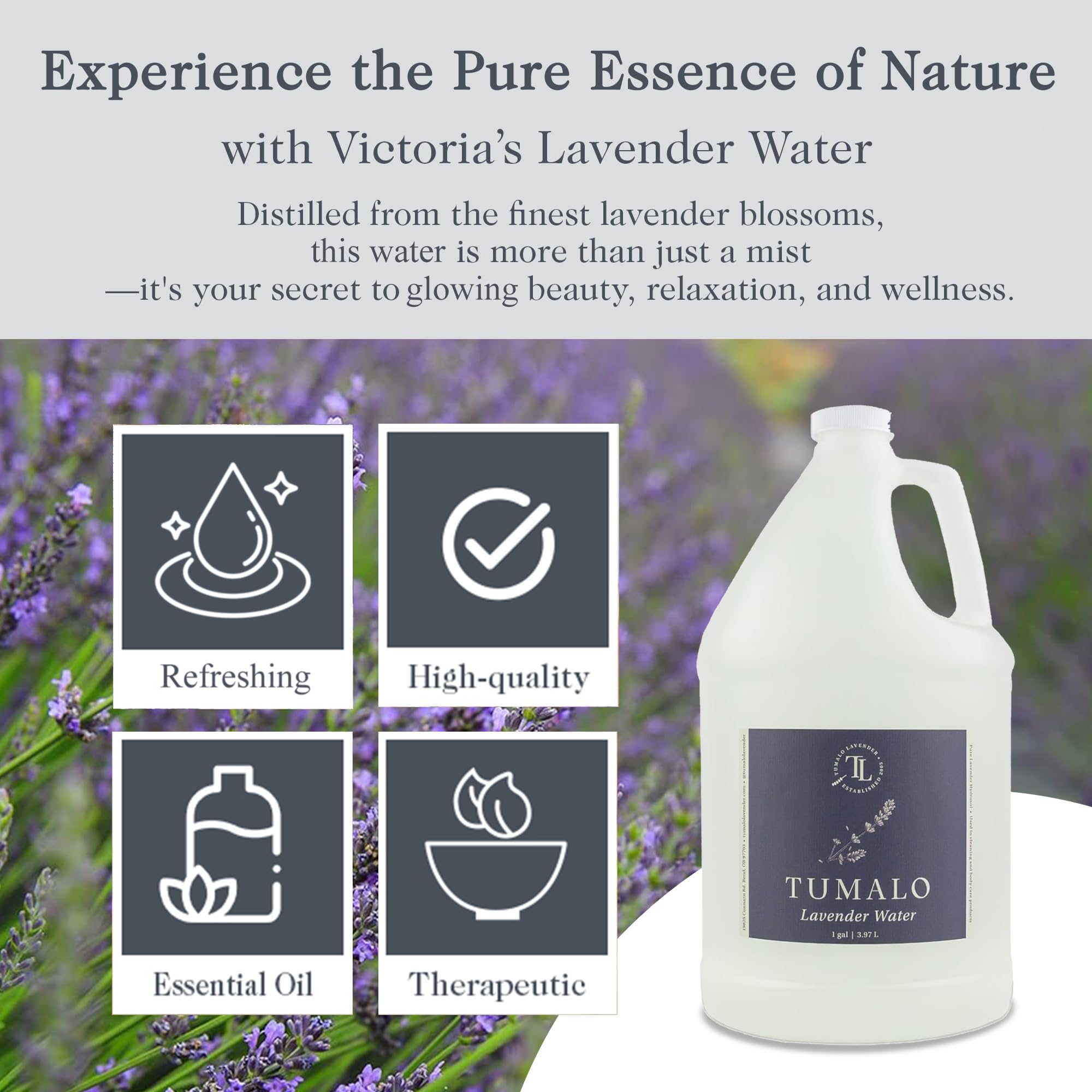 Tumalo Lavender Hydrosol steam distillation process image highlights plant-derived aroma
