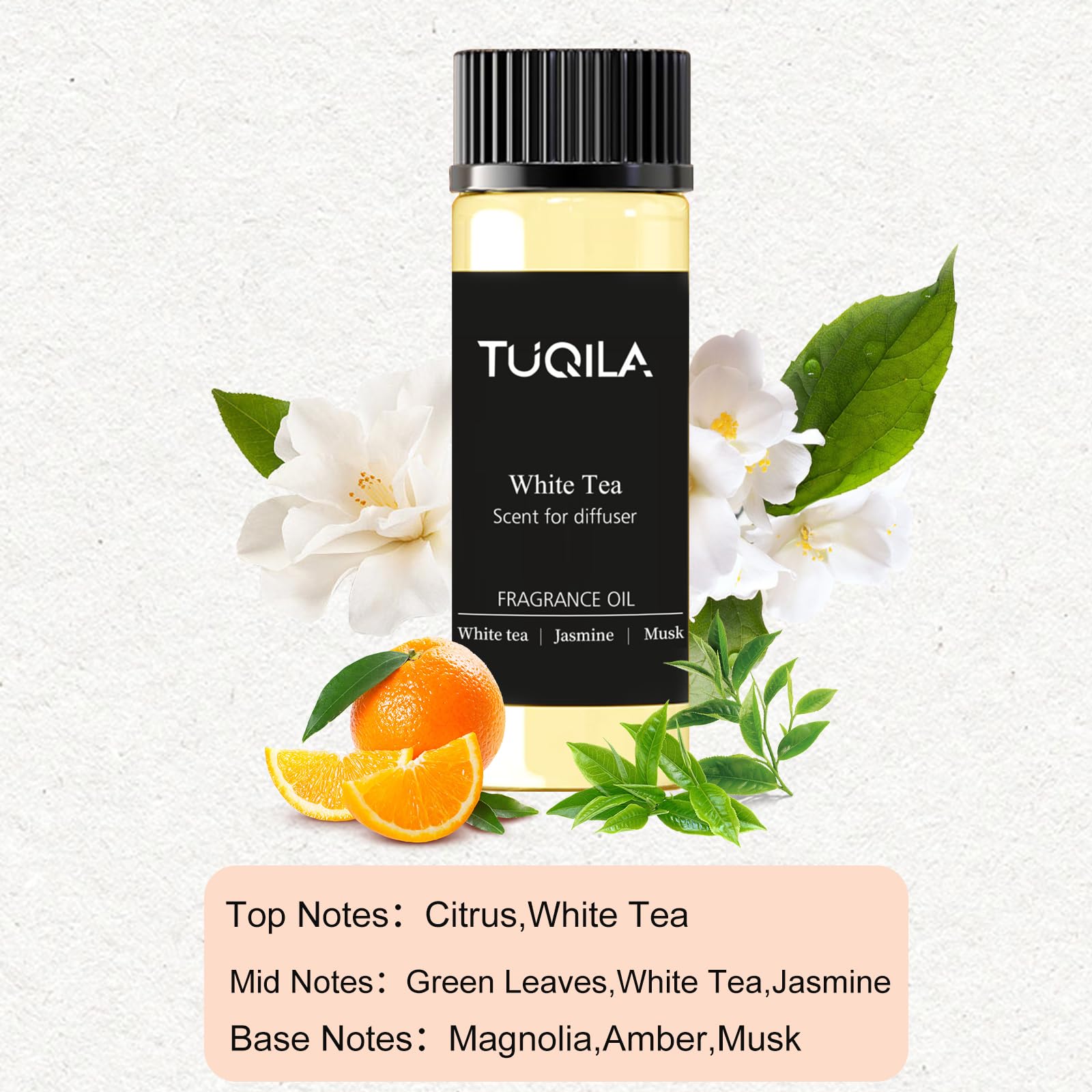 Waterless diffuser kit components arranged for Tuqila set
