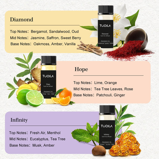 Assorted scents included: My Way, Hope, Winter Pine, Diamond, Pumpkin Cream