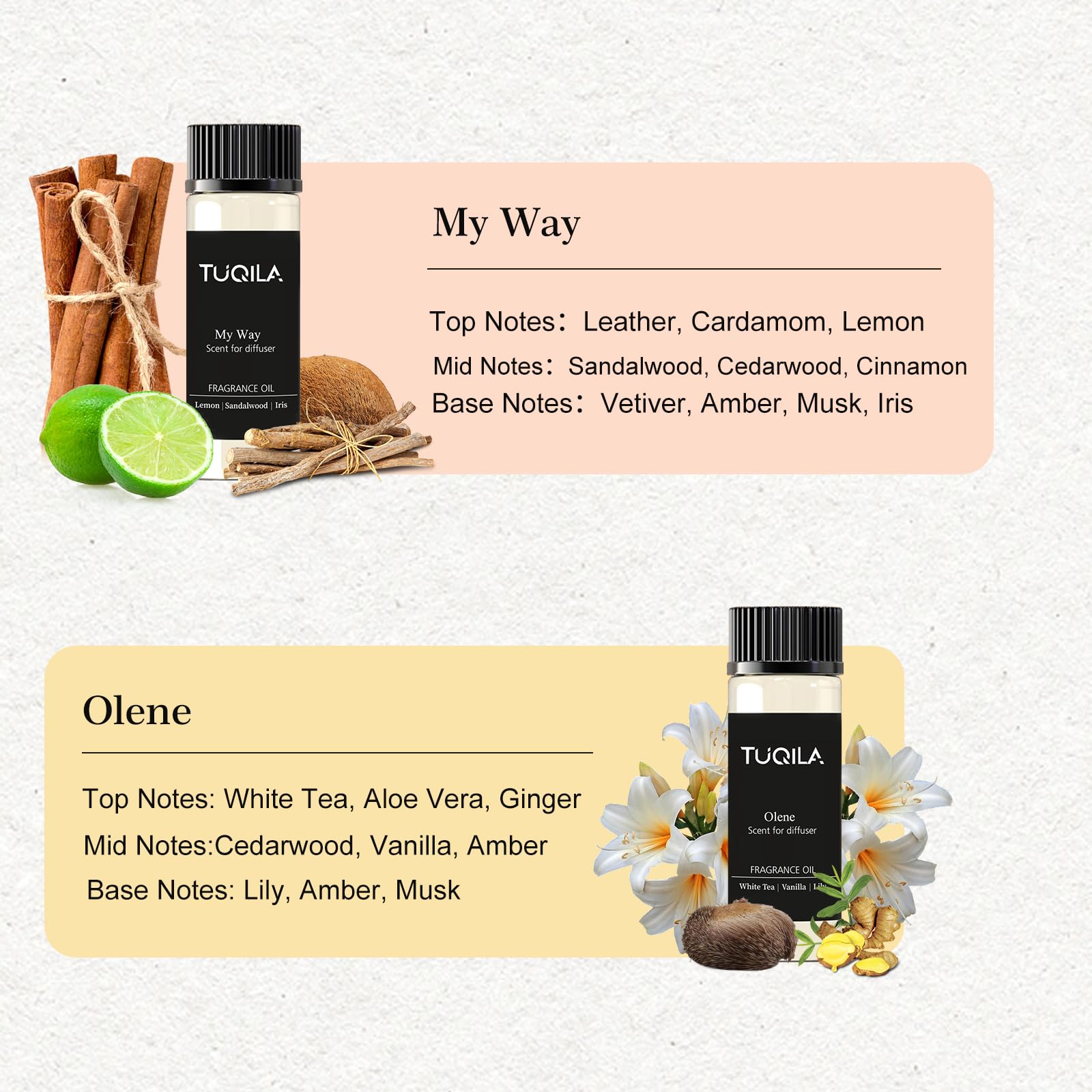 Six fragrance oils included My Way Olene Pumpkin Cream Winter Pine Cinnamon Apple Clove Cedar