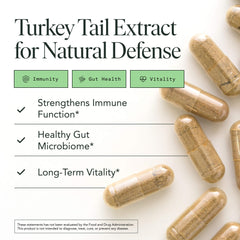 Immune-supporting turkey tail capsules for immune health