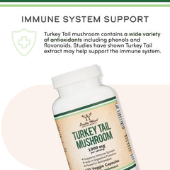 Turkey Tail mushroom providing digestive support via prebiotics