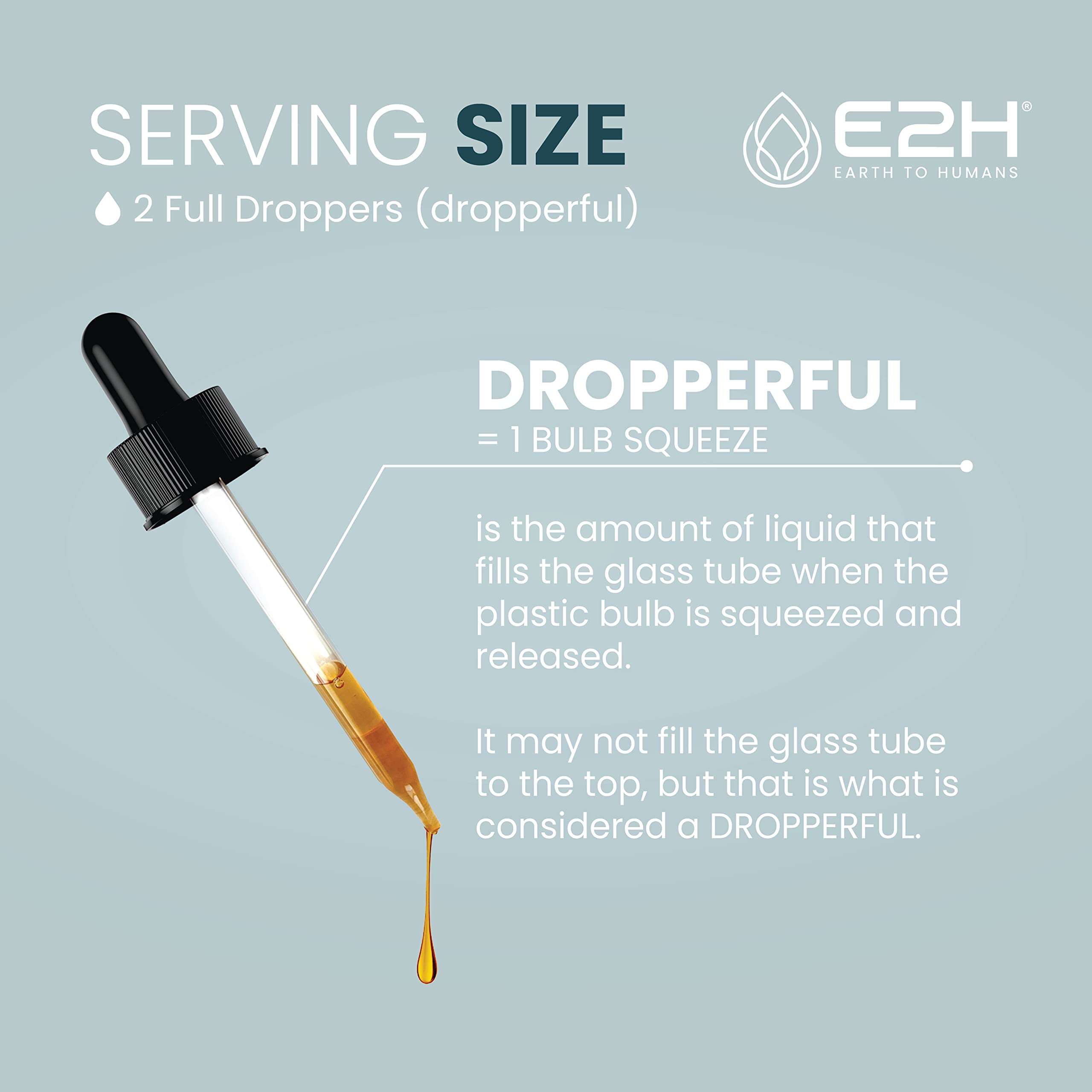 Immune system support concept with turkey tail extract