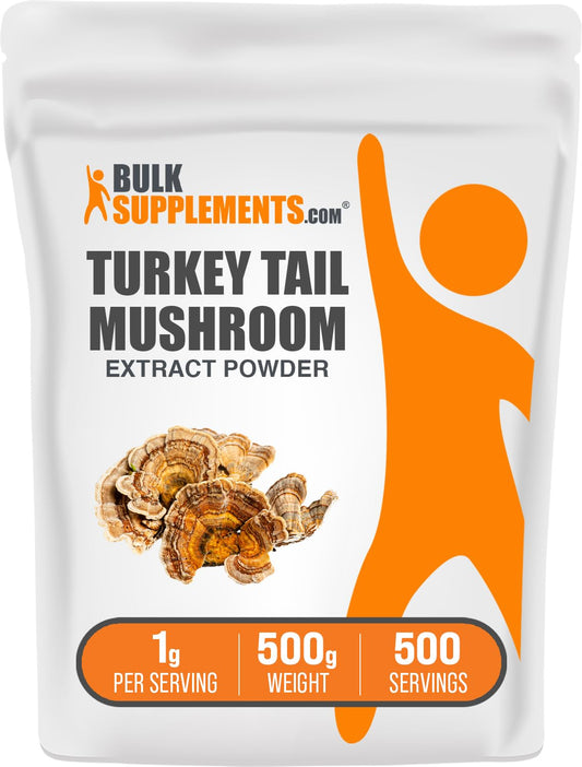 Turkey Tail Mushroom Extract Powder 500g container