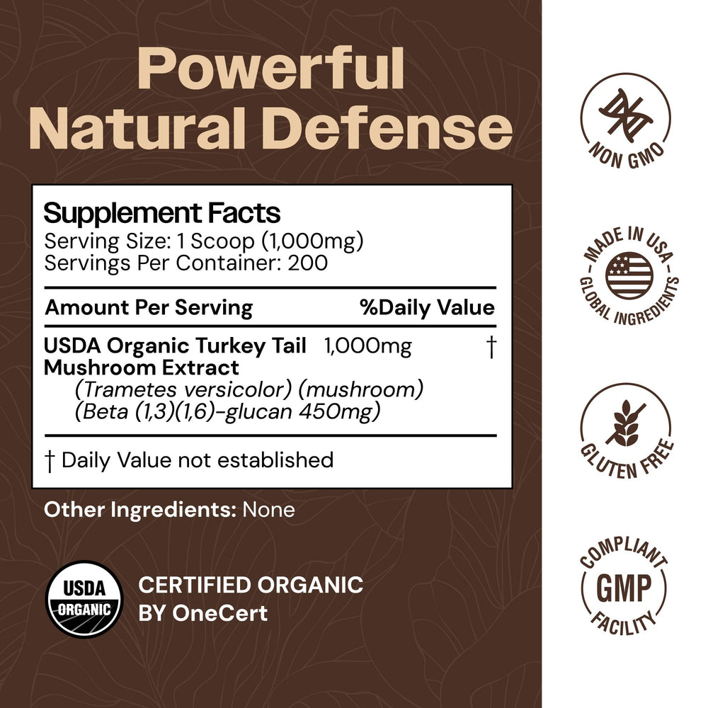 Graphic illustrating hot water extraction for Turkey Tail powder