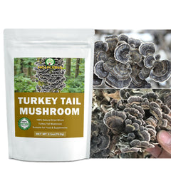 Close-up of dried turkey tail mushrooms showing natural texture