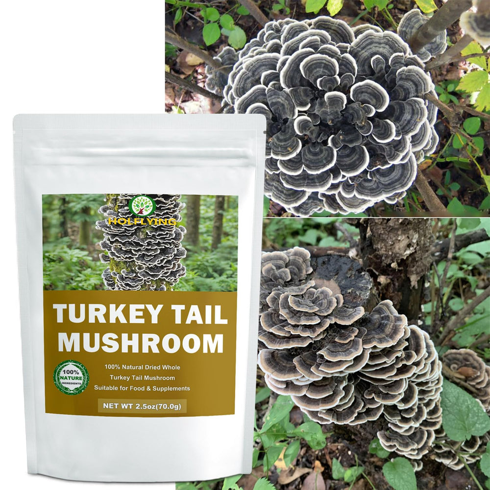 Pouch of dried turkey tail mushrooms ready for cooking or wellness blends