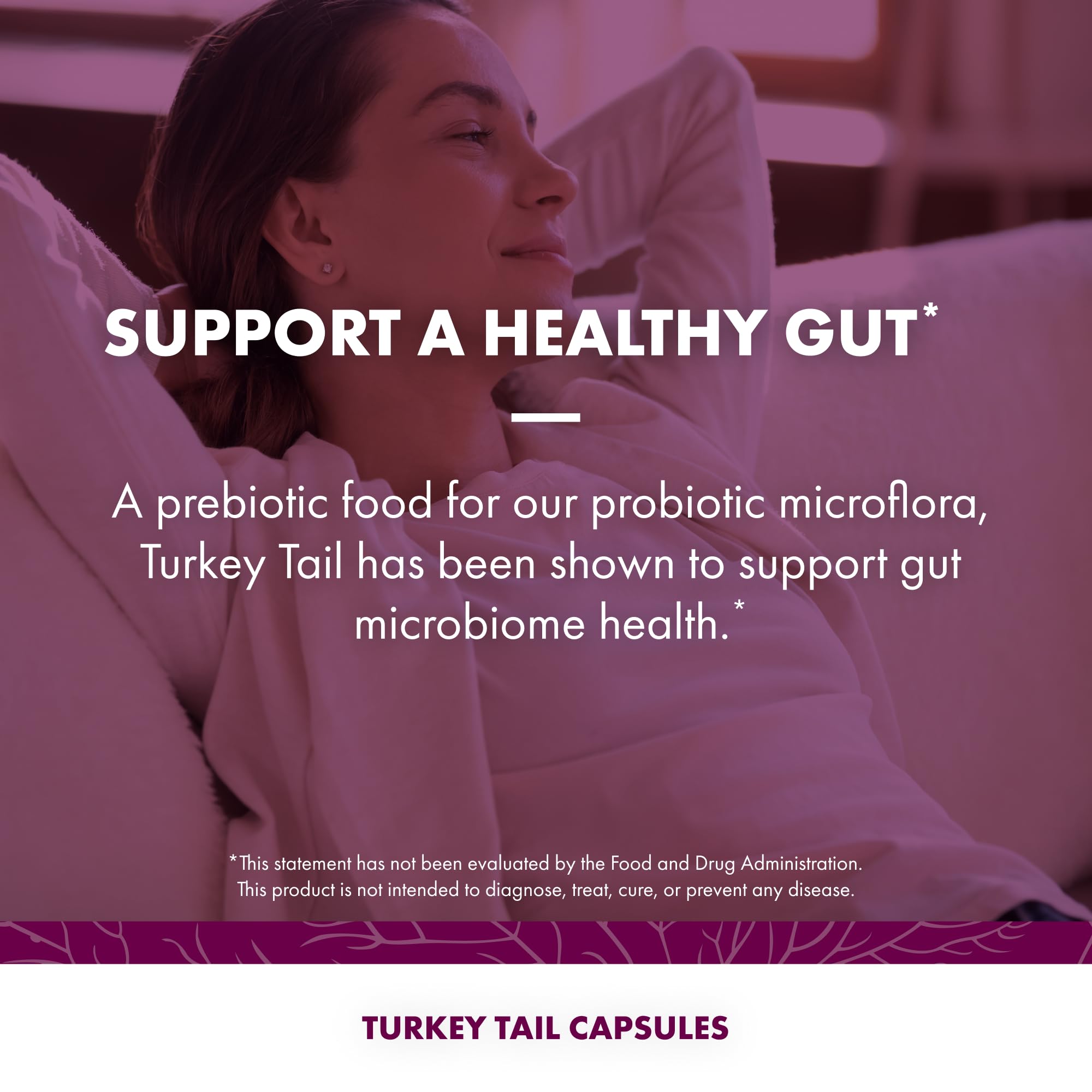 Turkey Tail prebiotic capsules supporting gut microbiome