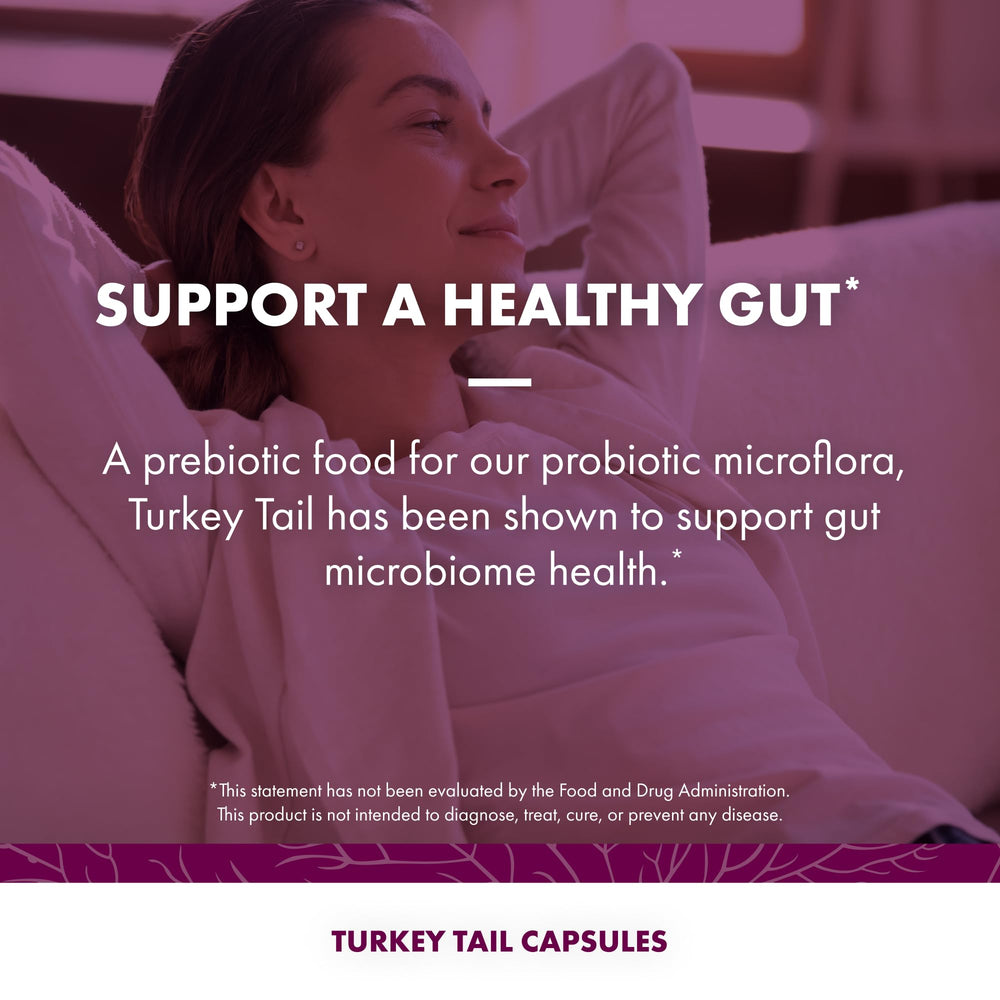 Turkey Tail prebiotic capsules supporting gut microbiome