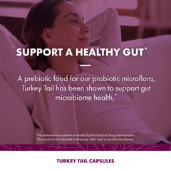 Turkey Tail prebiotic capsules supporting gut microbiome