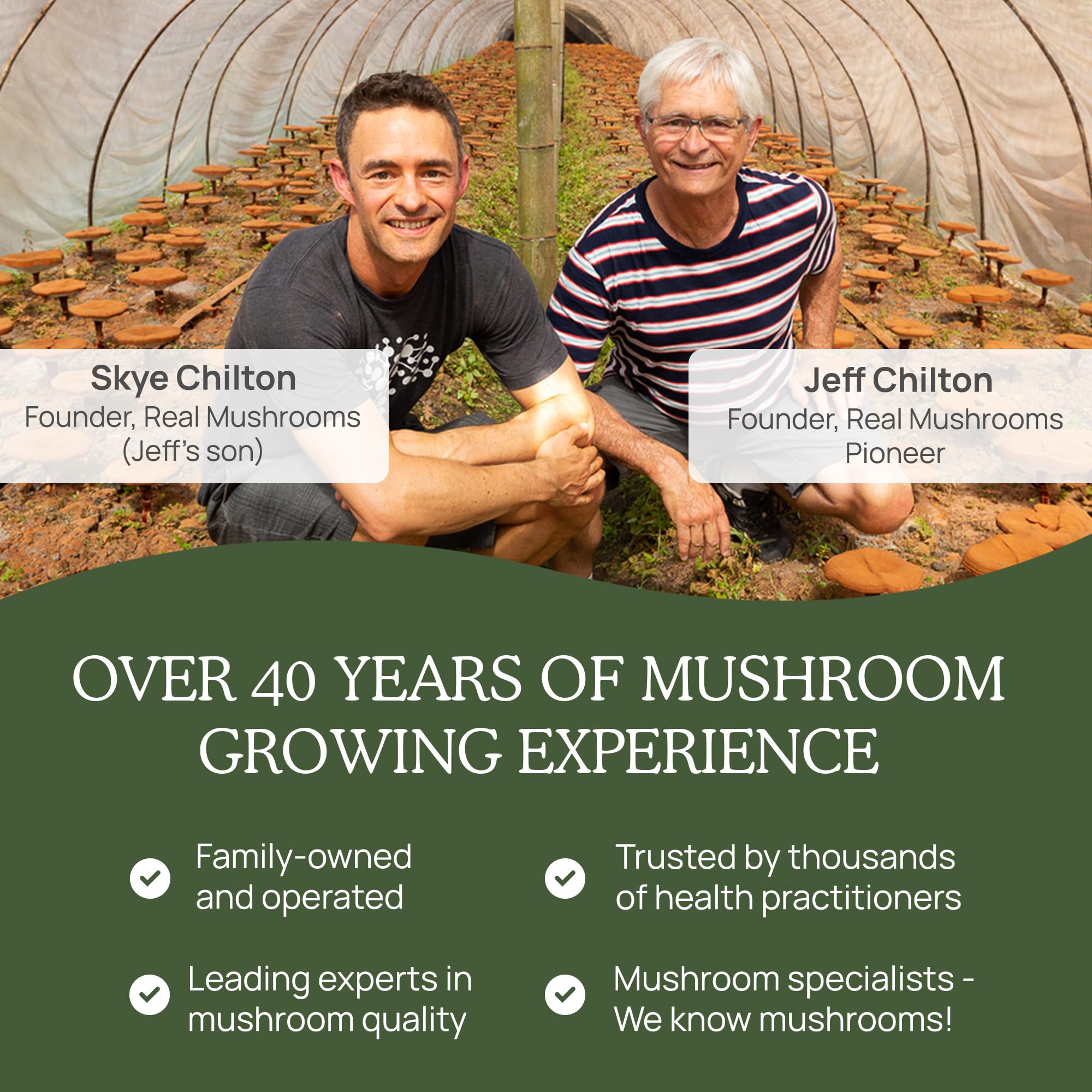 Real Mushrooms Turkey Tail supplement packaging showing 100 servings