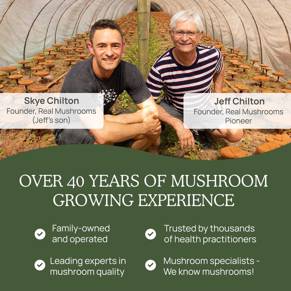 Real Mushrooms Turkey Tail supplement packaging showing 100 servings