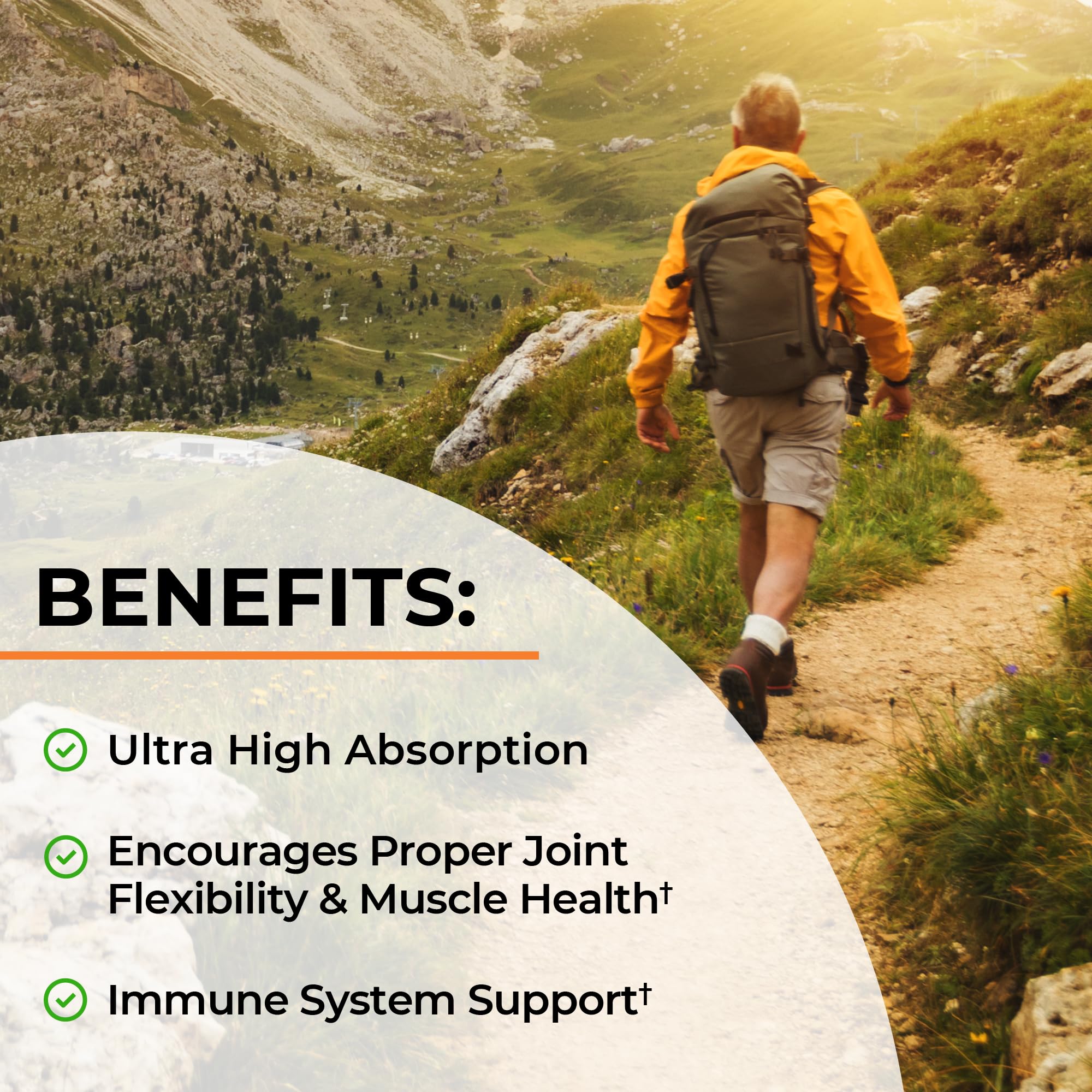 BioPerine black pepper extract illustration emphasizing absorption