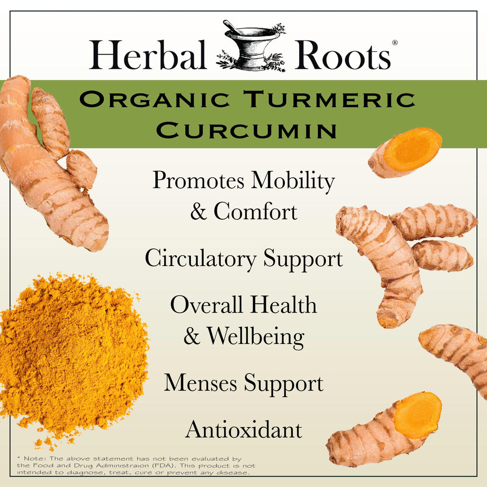 Turmeric curcumin 95% extract graphic