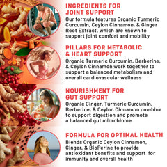 Organic turmeric capsules with Berberine, Cinnamon and Ginger for gut health