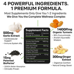 GMP-certified production facility label for turmeric supplement