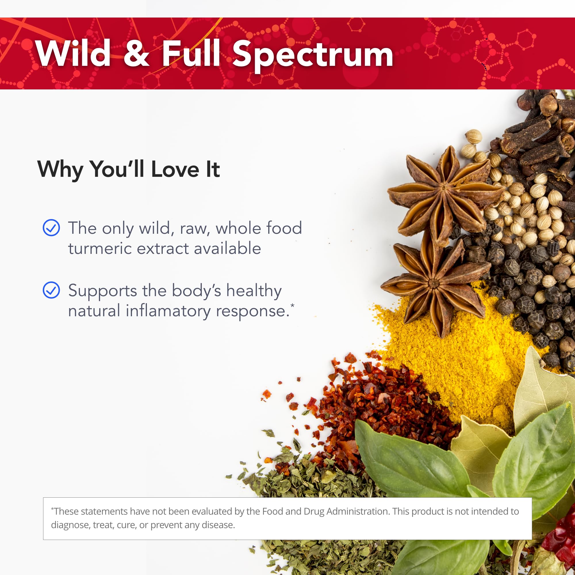 Wild, raw, whole-food turmeric extract with full curcuminoids