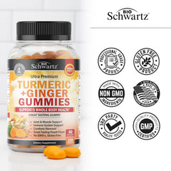 Illustration highlighting immune system and gut health benefits