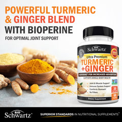 Turmeric and ginger root illustrations