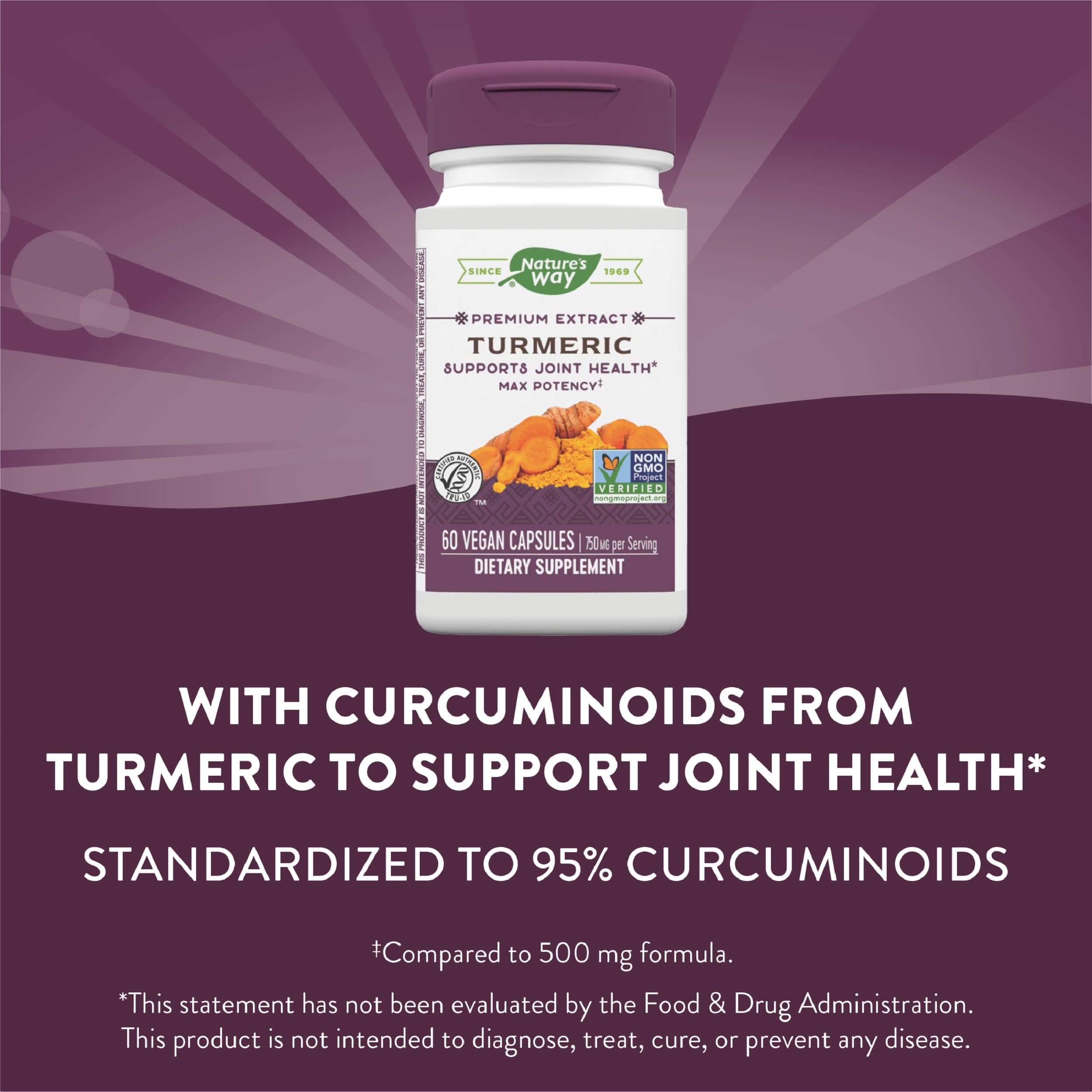 Two bottles of Nature's Way Turmeric Max Potency (pack of 2)
