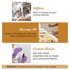 Turmeric oil suitable for massage and body oils
