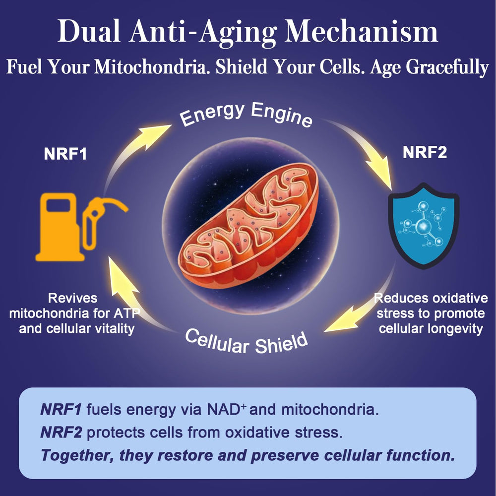 Curcumin, resveratrol, and green tea polyphenols in plant-based blend