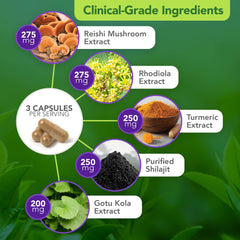 Turmeric and Rhodiola in Vital Plan Daily Herbal