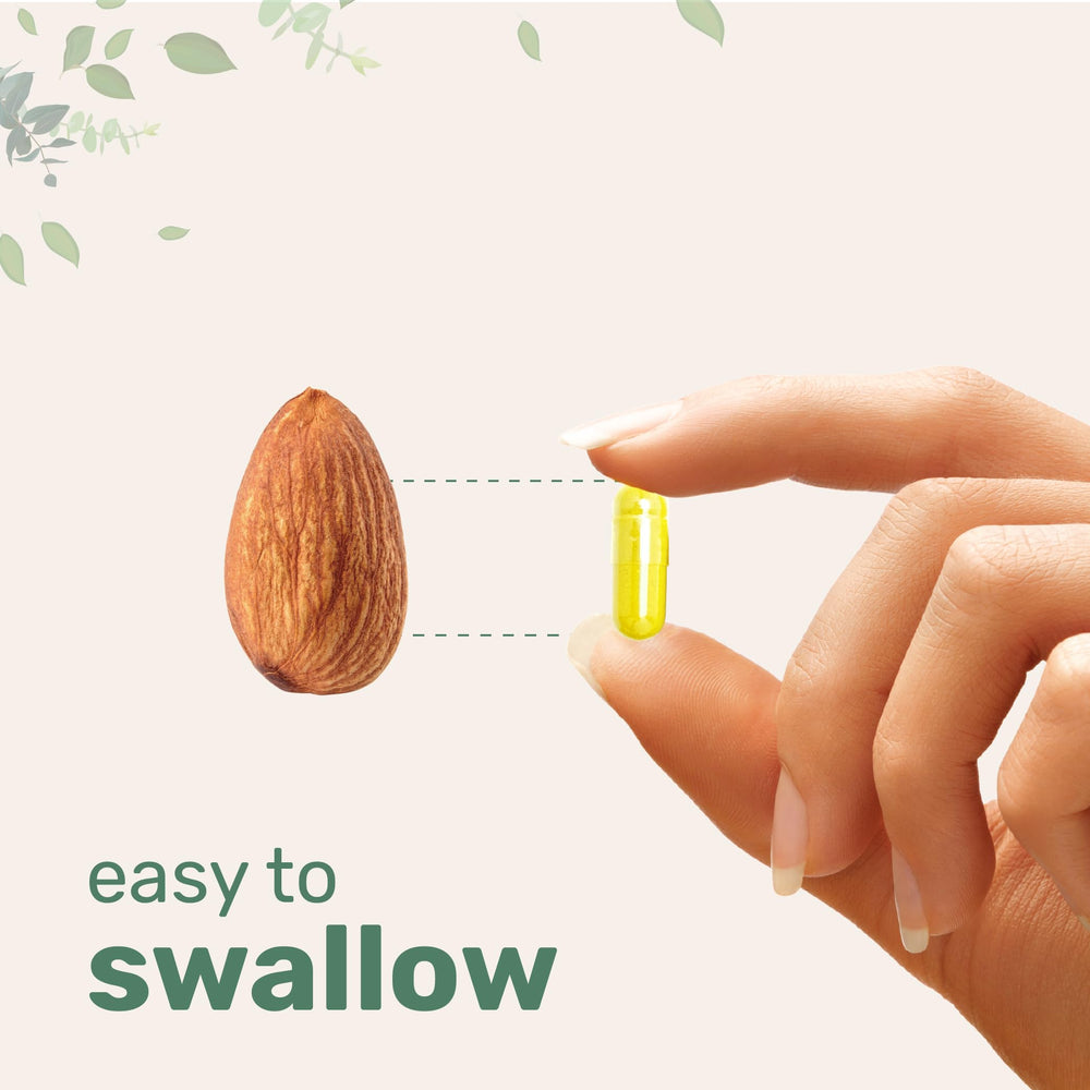 Turmeric root supplement illustration