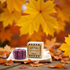 Aromatically scented wax melt filling a room