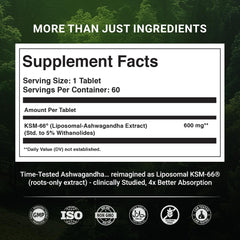Close-up of KSM-66 Ashwagandha bottle label showing 600mg per serving