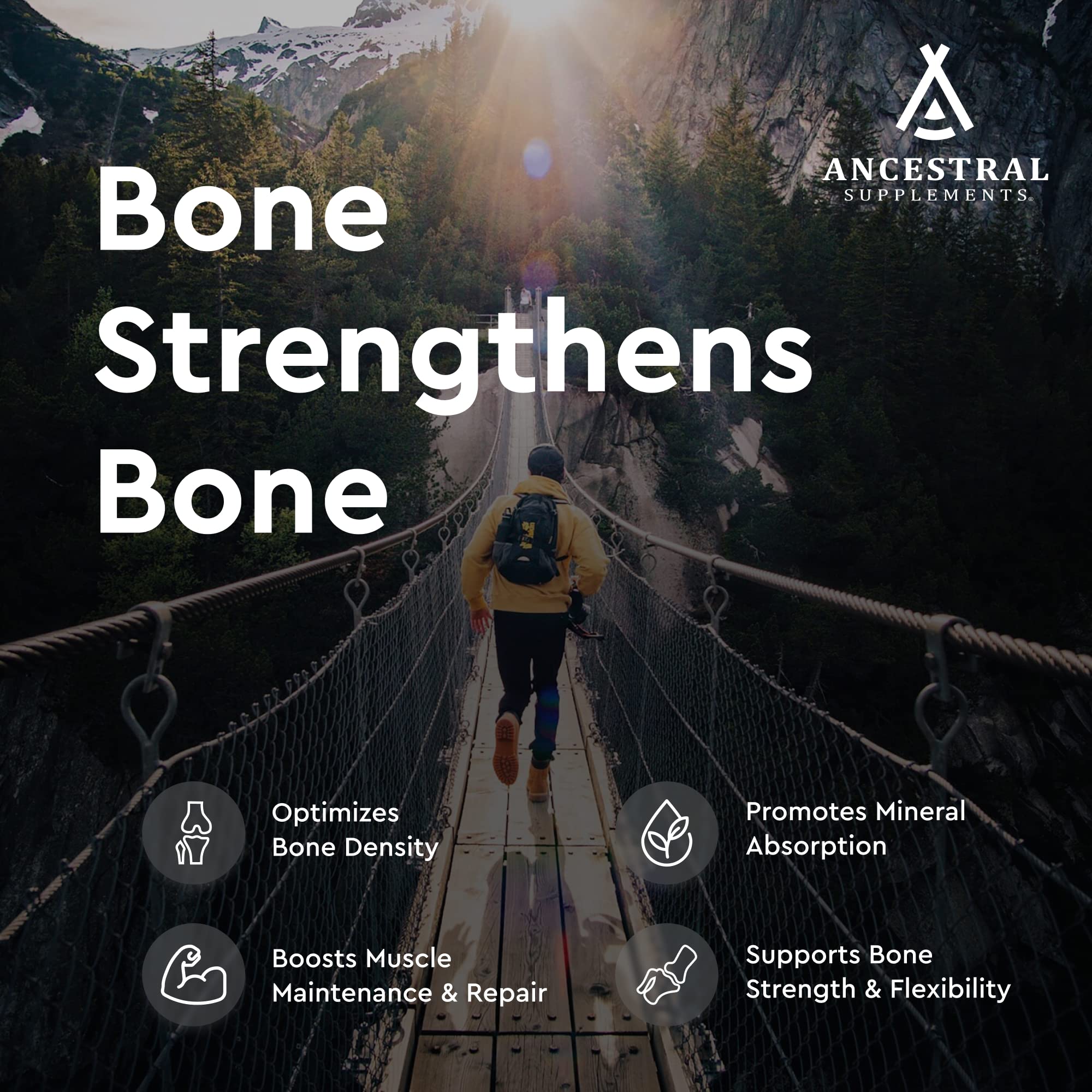 Illustration of Type I collagen in beef bone supplement