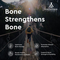Illustration of Type I collagen in beef bone supplement