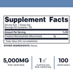 Close-up of micronized creatine monohydrate powder