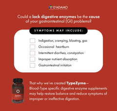 Illustration of digestion and nutrient absorption supported by TypeZyme for Blood Type O
