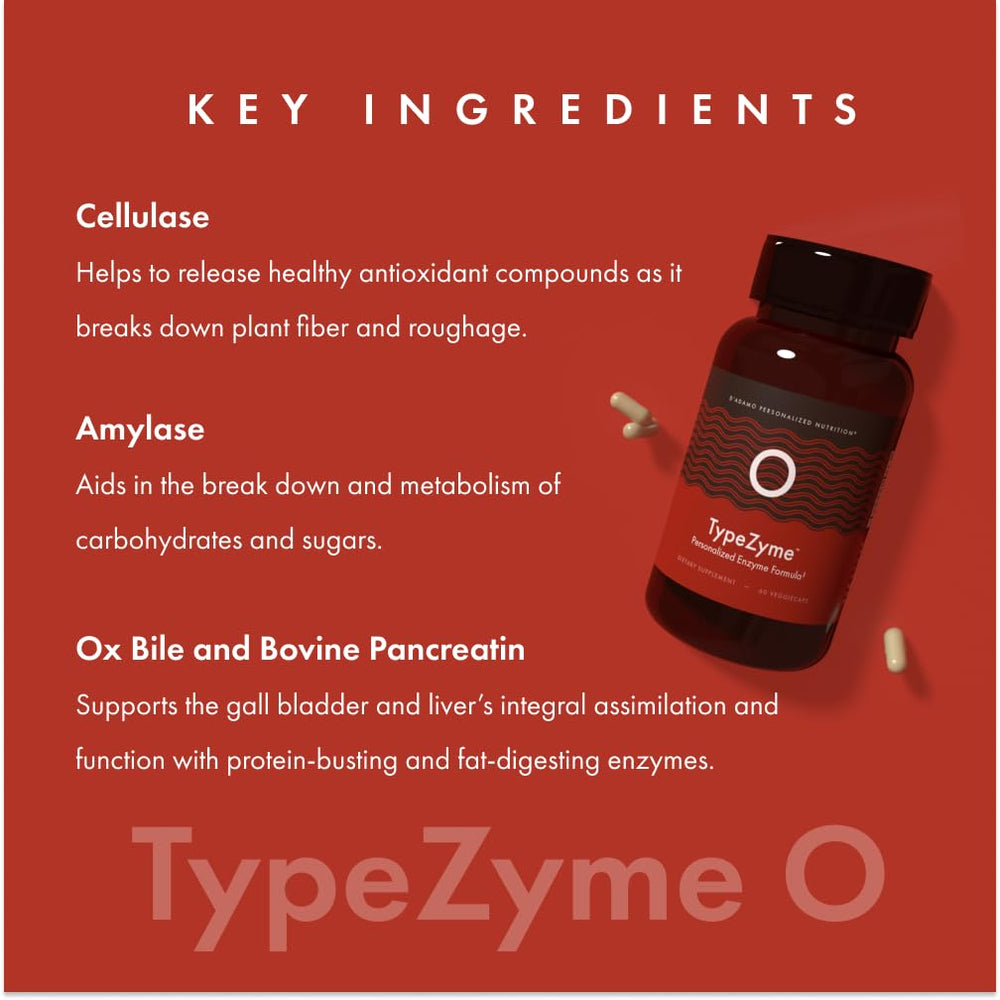 Illustration showing gut balance and Blood Type O digestion with TypeZyme