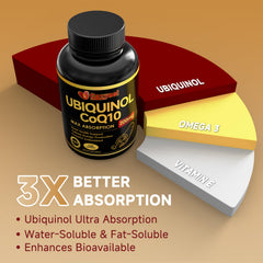 Diagram showing high absorption of ubiquinol CoQ10